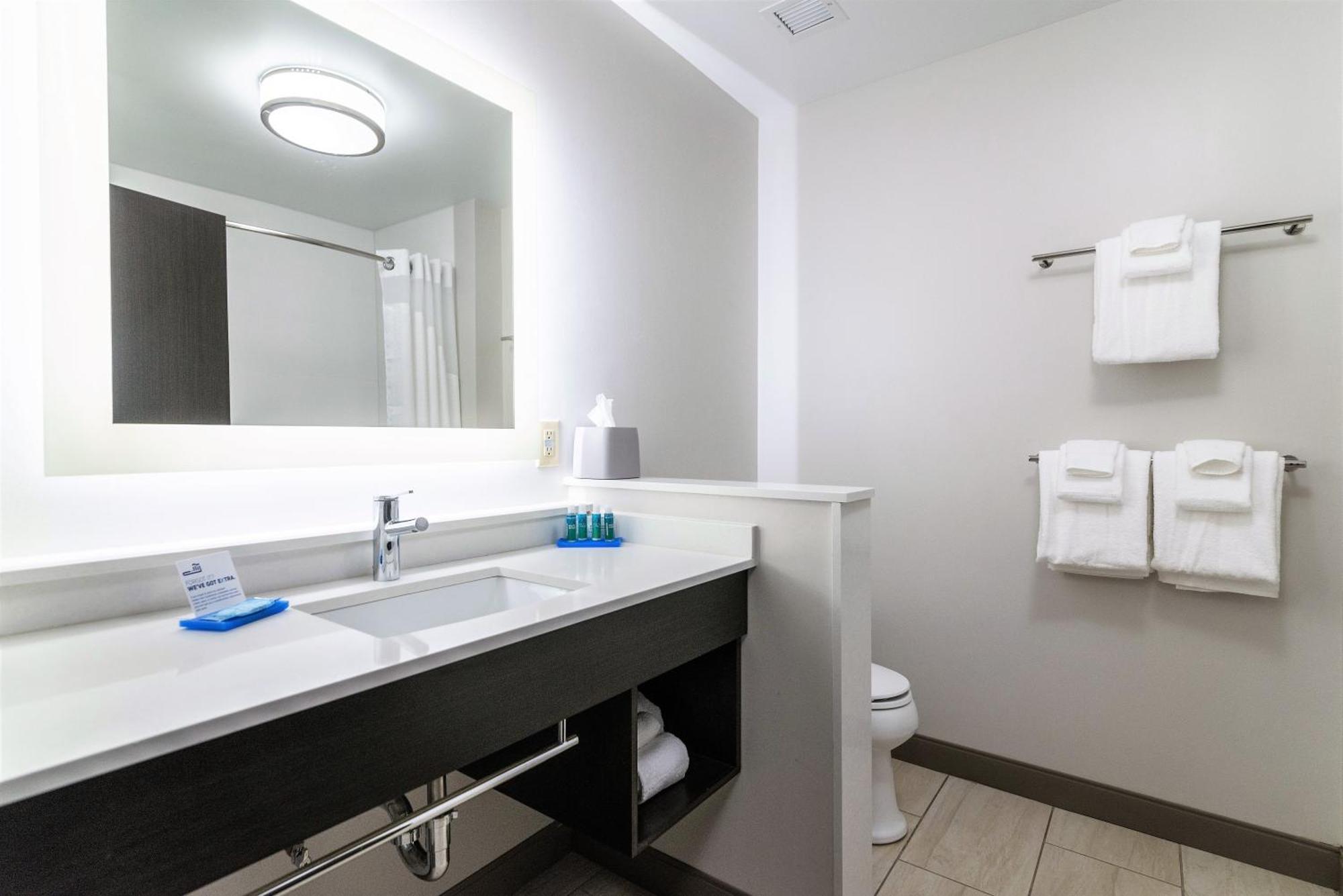 Holiday Inn Express & Suites Allen Park By Ihg Dış mekan fotoğraf